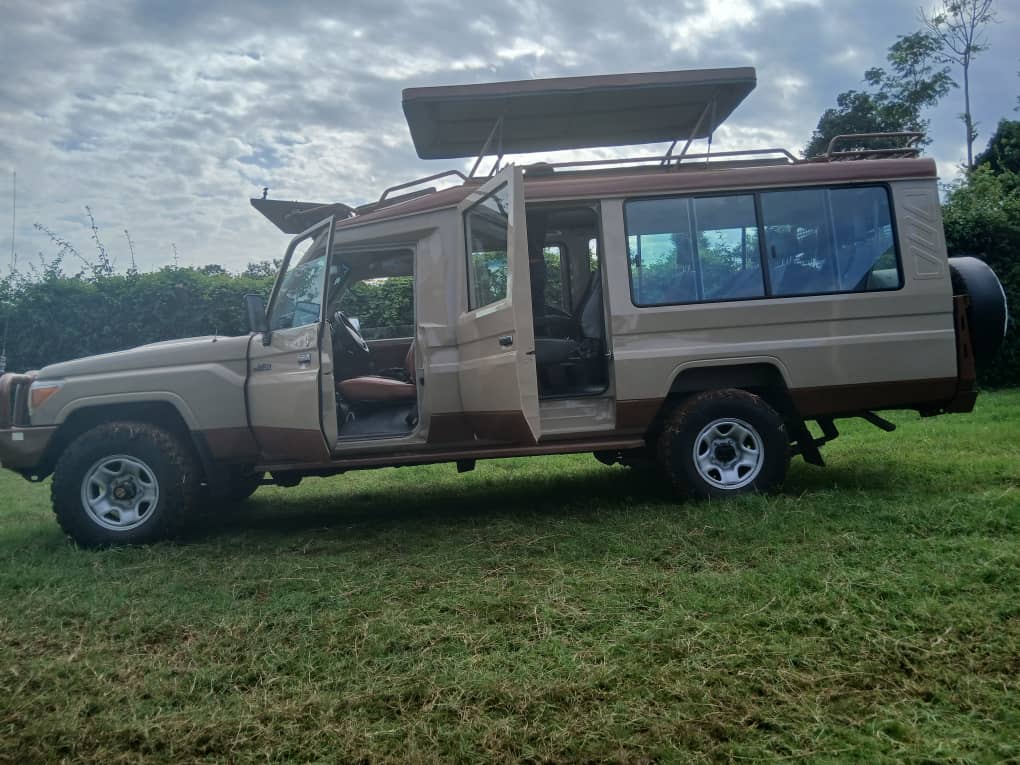 tanzania Safari Vehicle